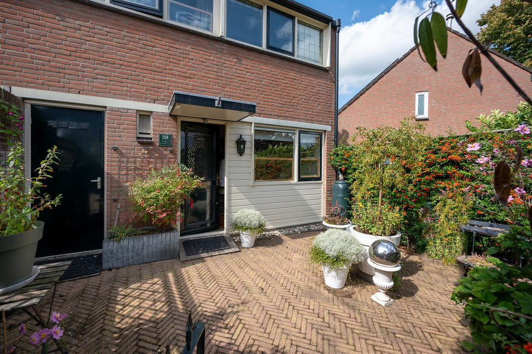 Photo 7 of Kamelenspoor 259