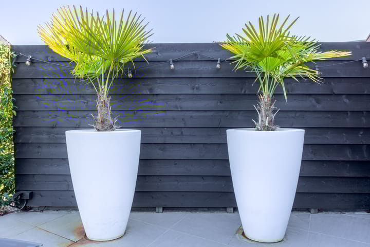 Foto 63 van Waterdorp 31