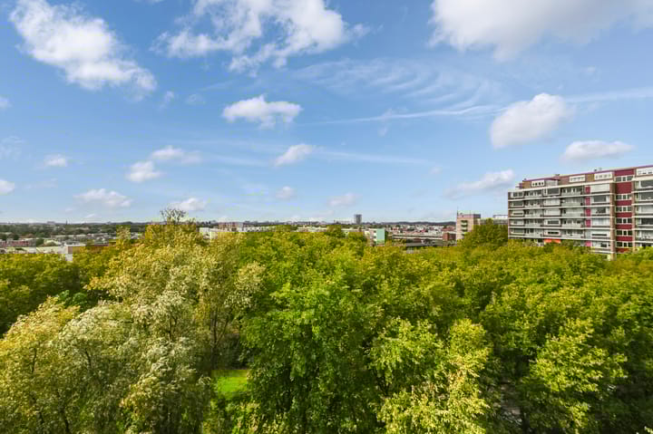 Foto 21 van Nieuwendamlaan 484