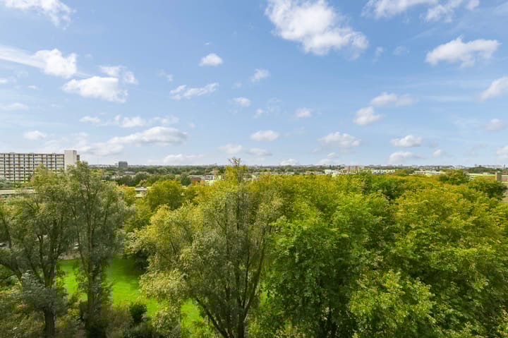 Foto 22 van Nieuwendamlaan 484