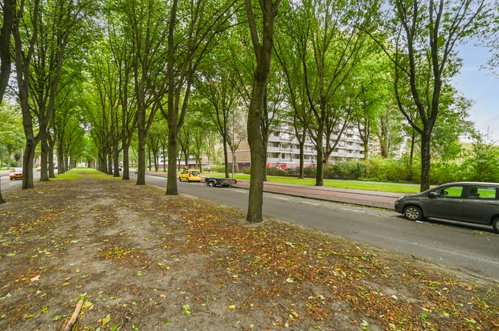 Foto 33 van Nieuwendamlaan 484