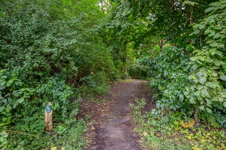 Foto 39 van Jaltadaheerd 76