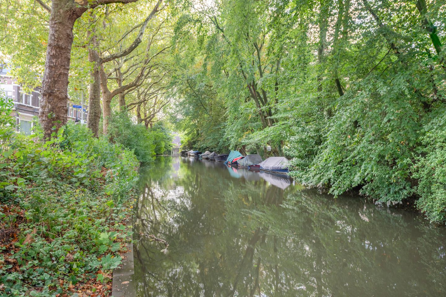 Foto 25 van Alexander Numankade 23