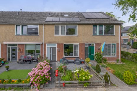 undefined main image