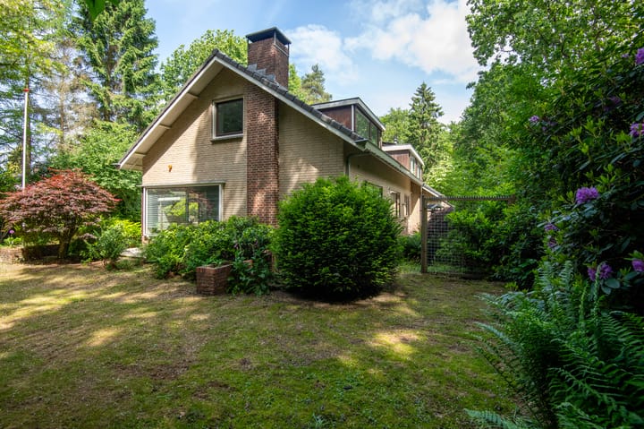 Foto 3 van Bosrand 63