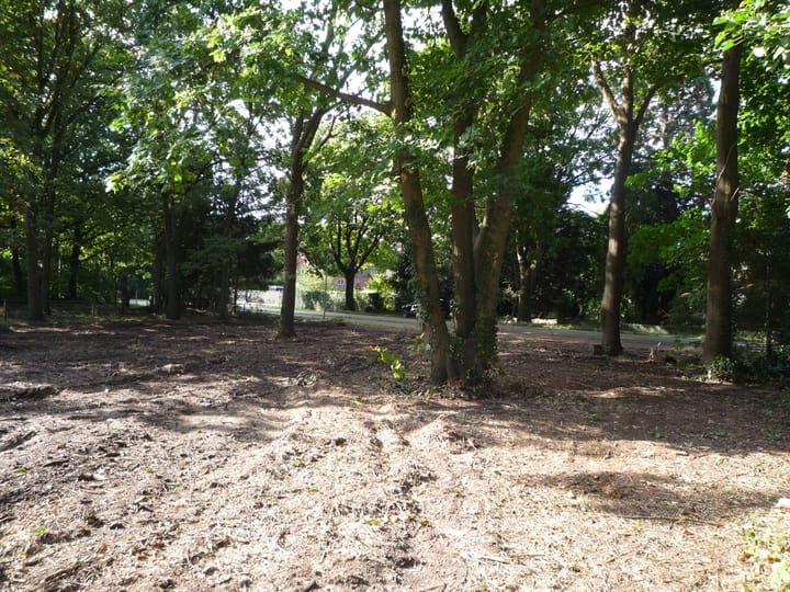 Foto 4 van Oude Venloseweg