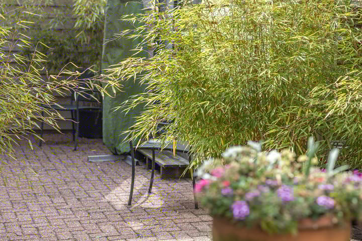 Foto 30 van Voorhaven 35-A