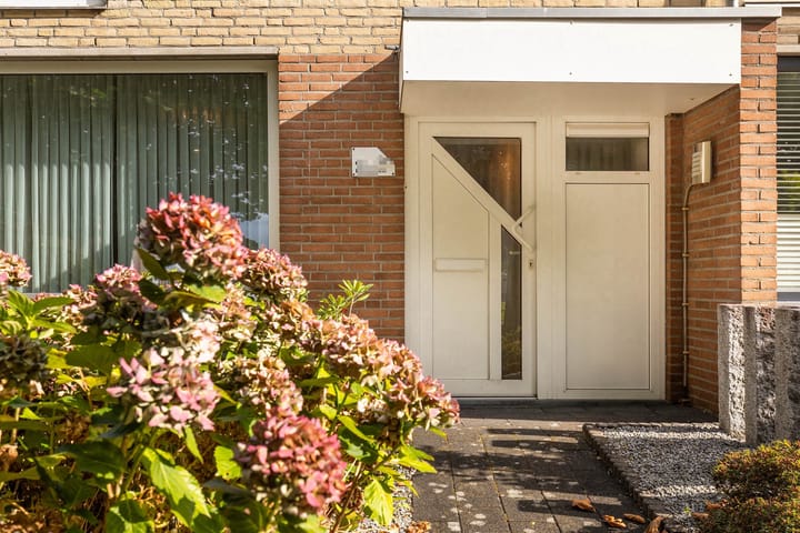 Foto 10 van Zwartdriesstraat 42