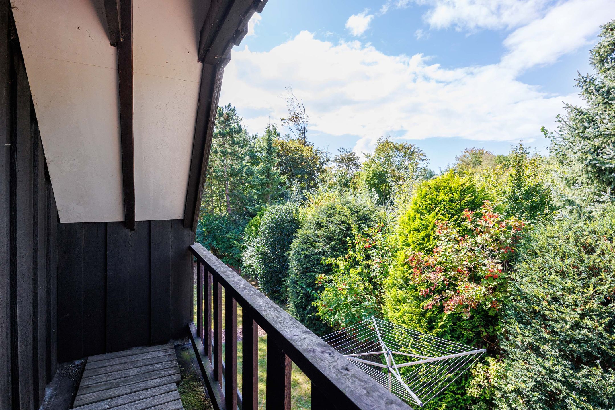 Photo 33 of Robbenoort 53