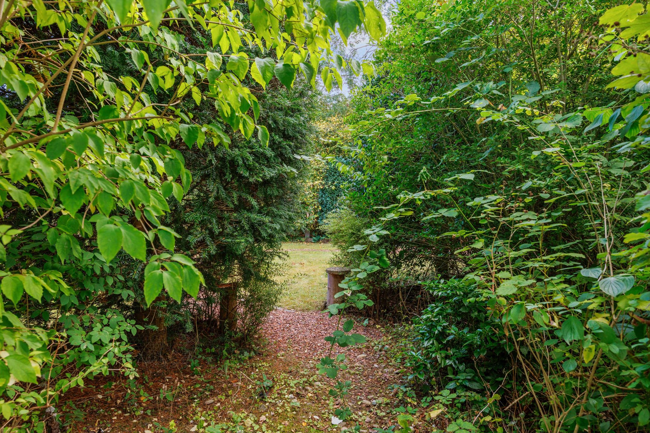 Photo 45 of Robbenoort 53