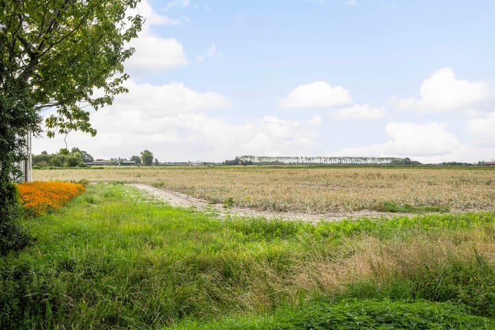 Foto 31 van Weelweg 1