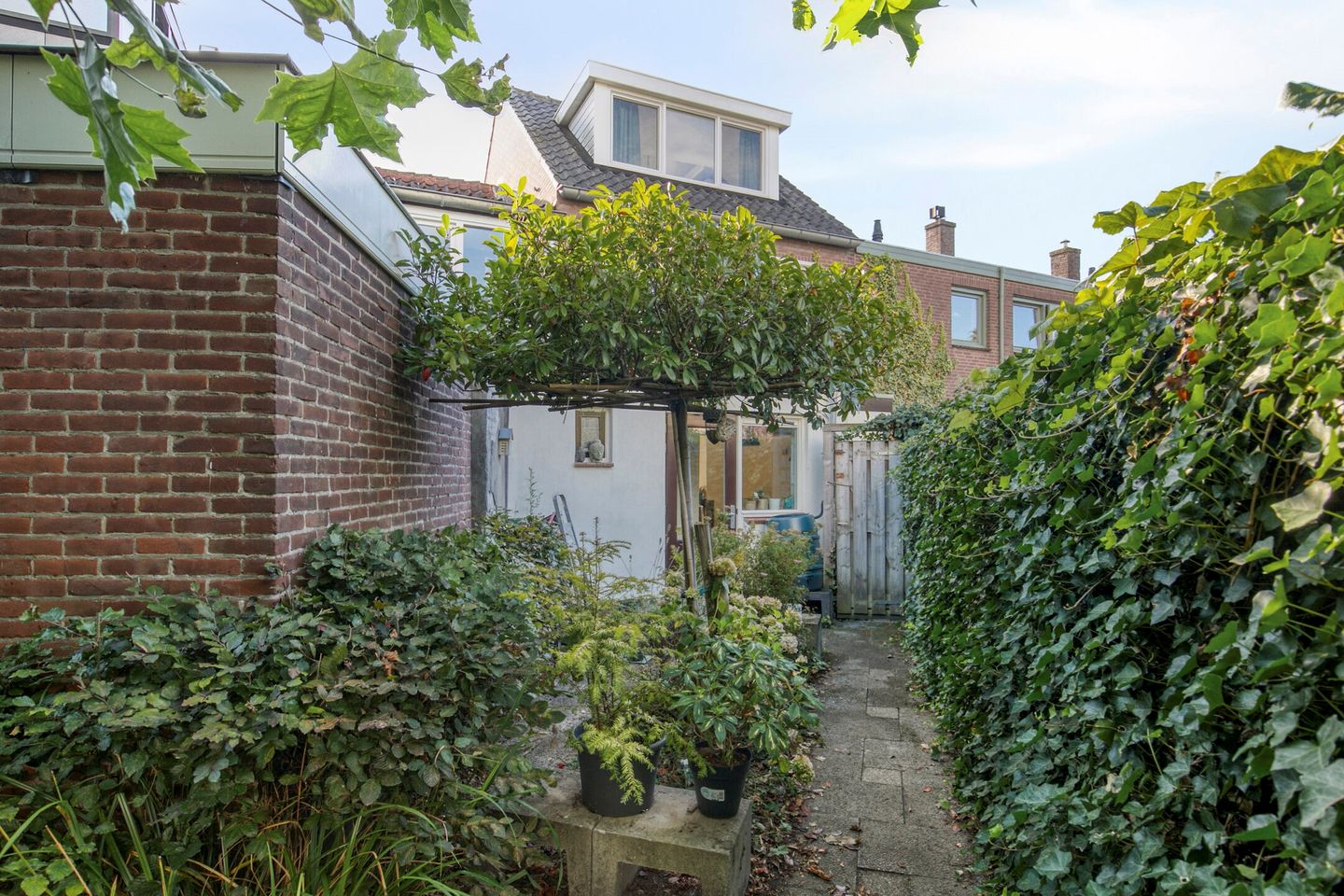 Foto 5 van Bredaseweg 50