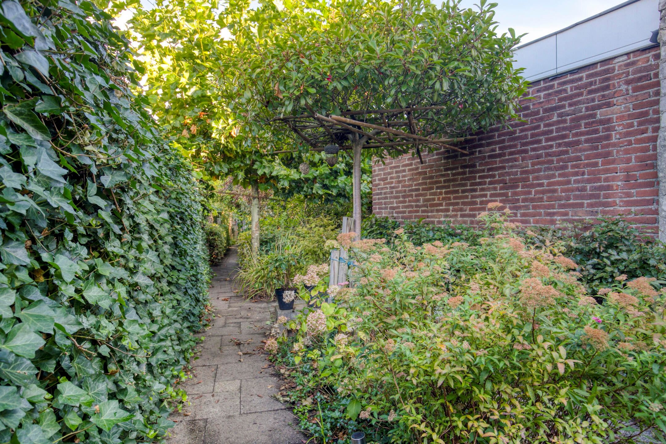 Foto 6 van Bredaseweg 50