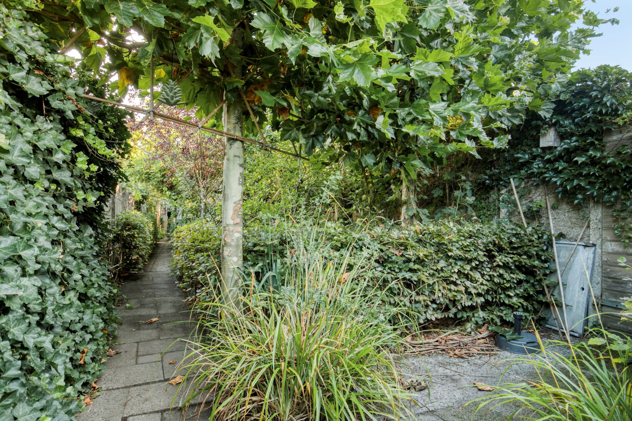 Foto 33 van Bredaseweg 50