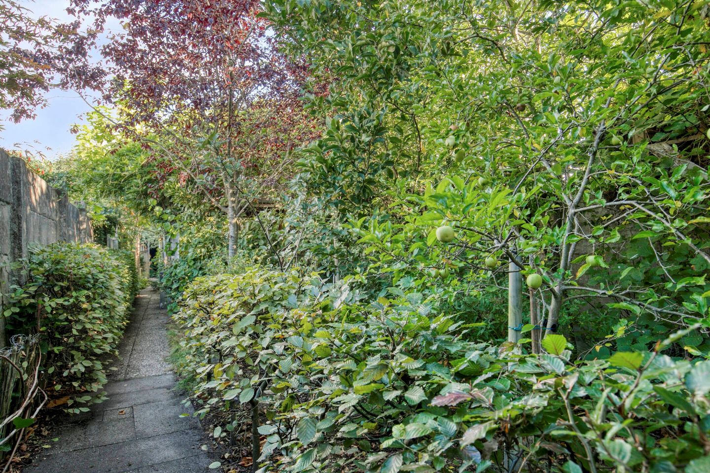 Foto 35 van Bredaseweg 50