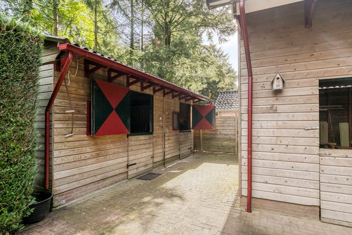 Foto 39 van Eikenkamp 6