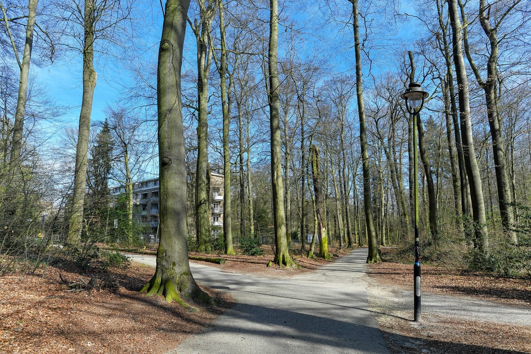 Photo 32 of Bernhardlaan 23-3