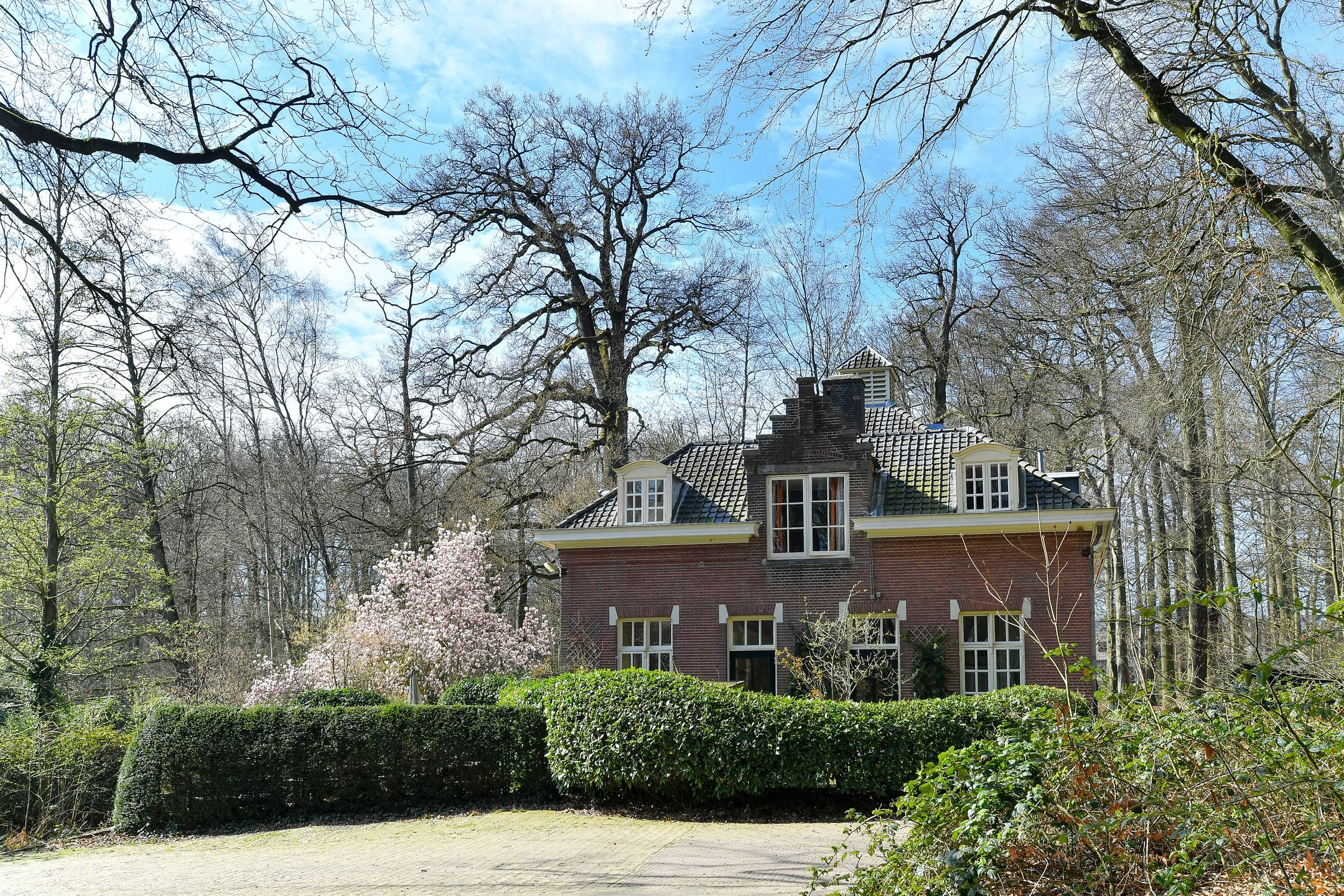 Photo 33 of Bernhardlaan 23-3