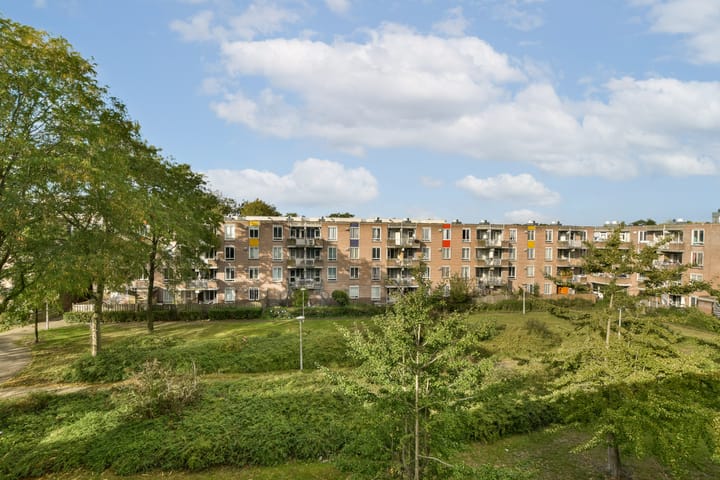 Foto 10 van Bernard Shawsingel 296