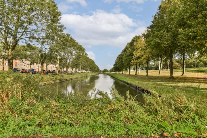 Foto 25 van Bernard Shawsingel 296