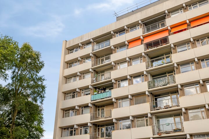 Photo 3 of Henry Dunantlaan 222