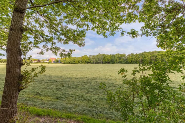 Foto 30 van Molenbosch 58