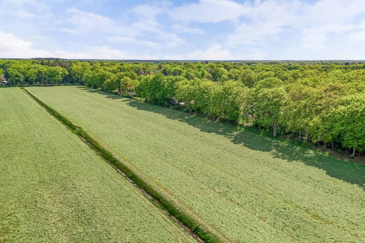 Foto 31 van Molenbosch 58