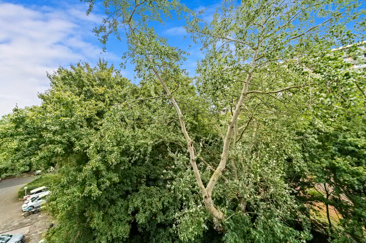 Photo 30 of Thomas Jeffersonlaan 307