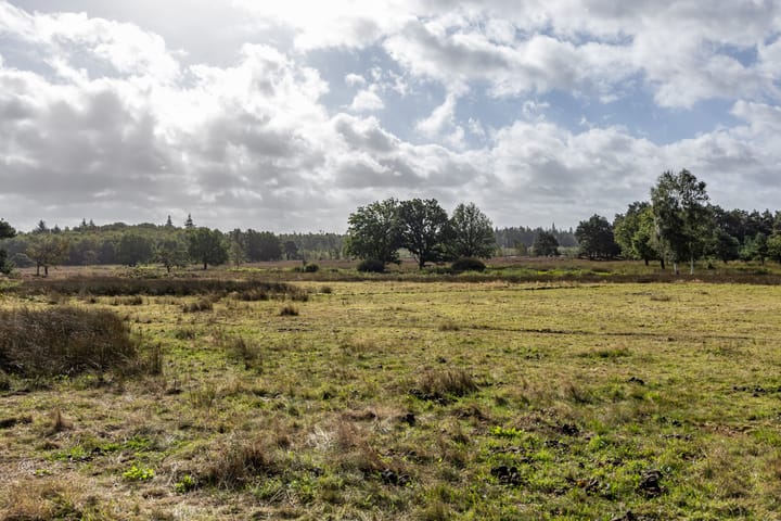 Photo 5 of Lheebroek 29