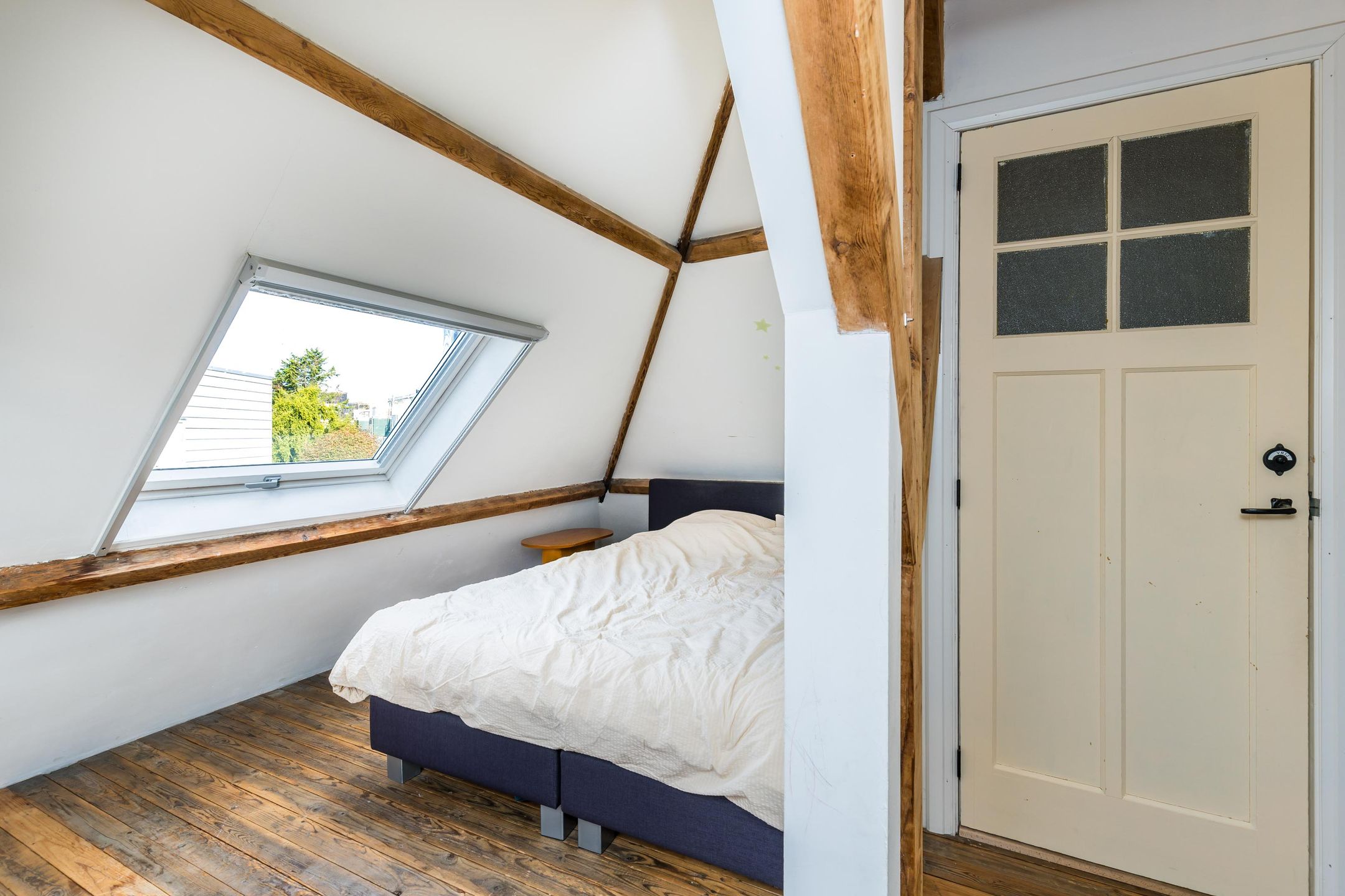 Foto 45 van Hilleniussingel 25