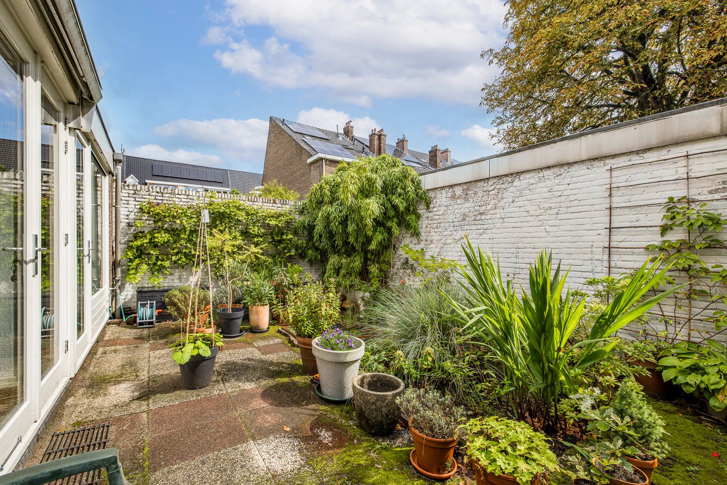 Foto 14 van Wittevrouwensingel 8