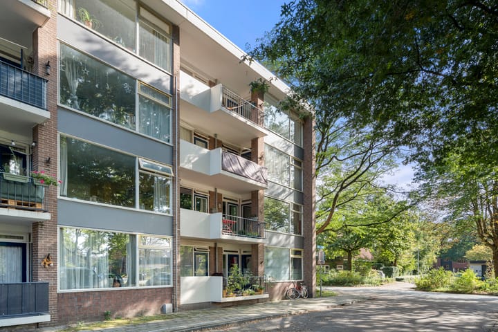 Foto 30 van Eykmanstraat 2-III