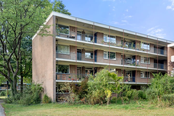 Foto 28 van Eykmanstraat 2-III