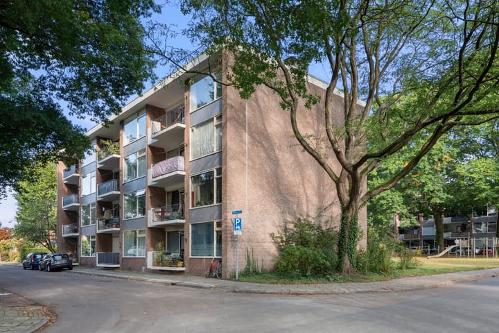 Foto 31 van Eykmanstraat 2-III