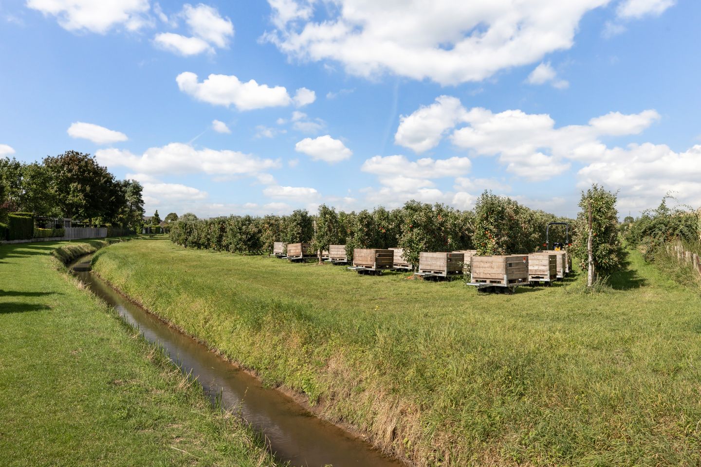 Foto 40 van Papekamp 5