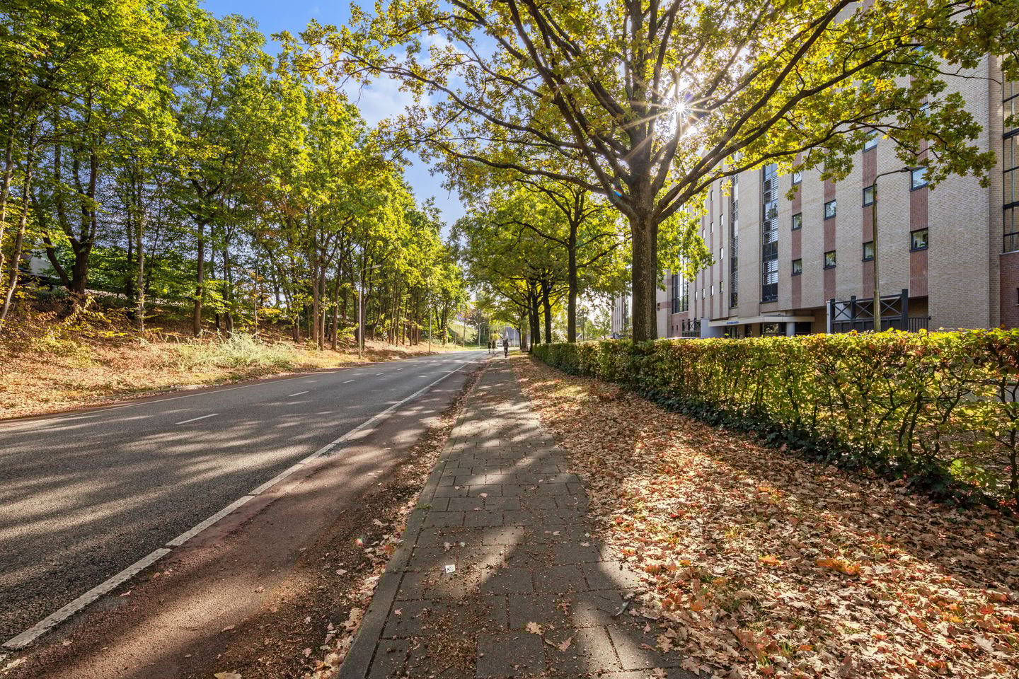 Foto 65 van Van Leeuwenhoeklaan 78