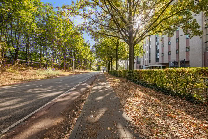 Foto 60 van Van Leeuwenhoeklaan 78