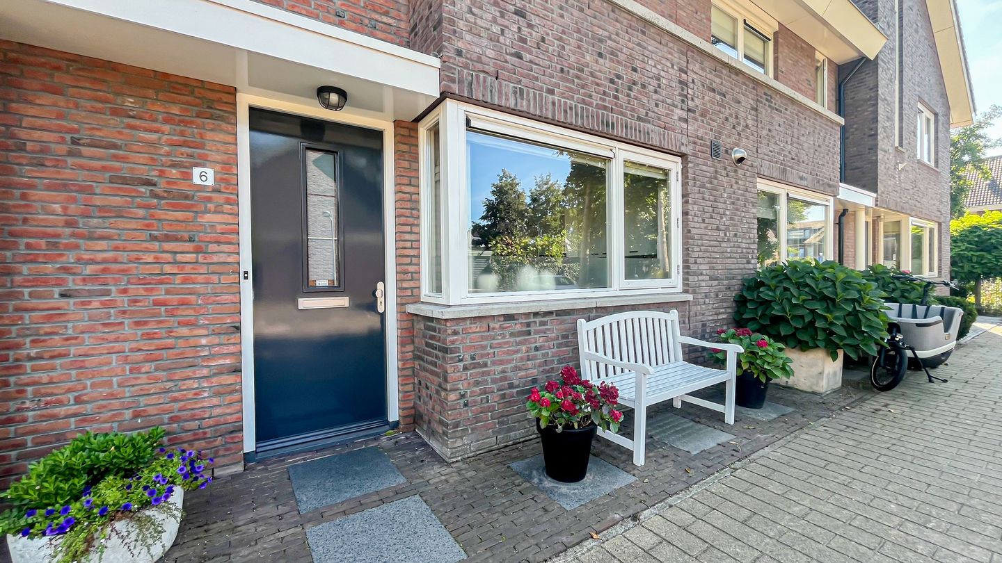 Foto 4 van Snaveldolfijn 6