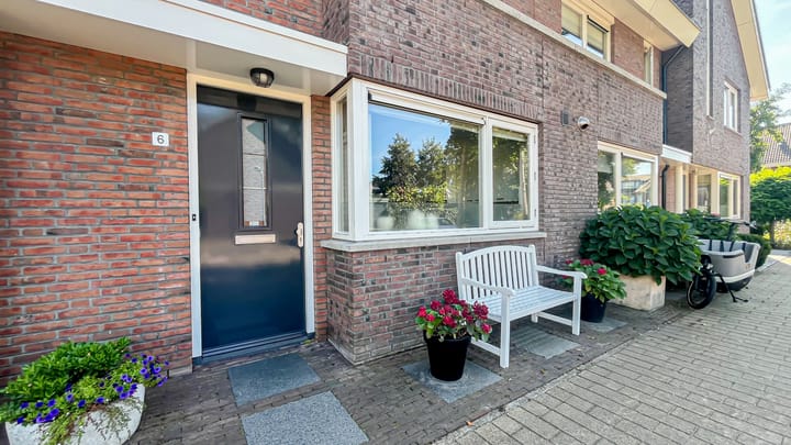 Foto 4 van Snaveldolfijn 6