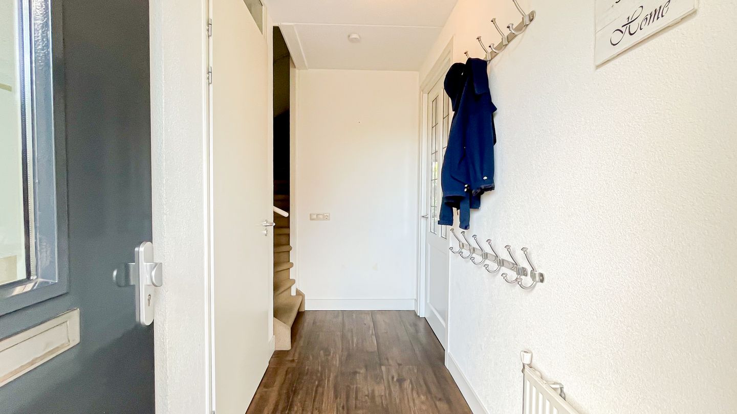 Foto 5 van Snaveldolfijn 6