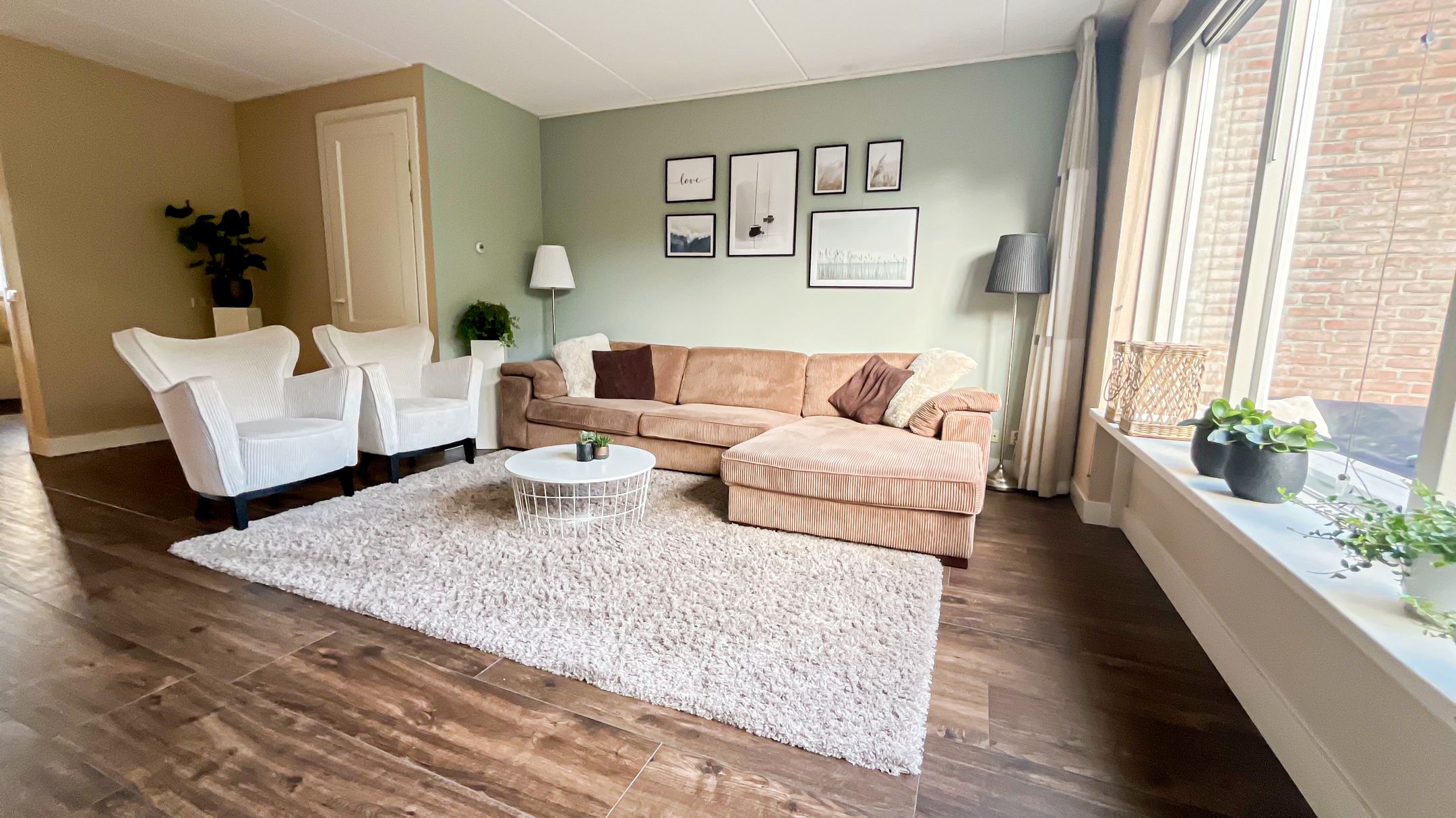 Foto 6 van Snaveldolfijn 6