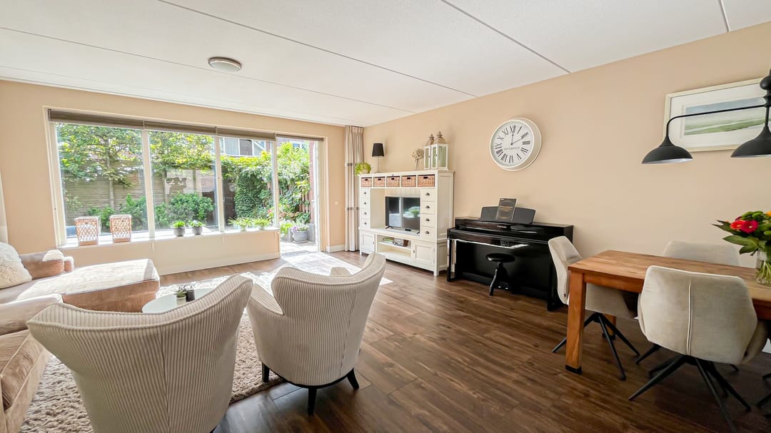 Foto 8 van Snaveldolfijn 6