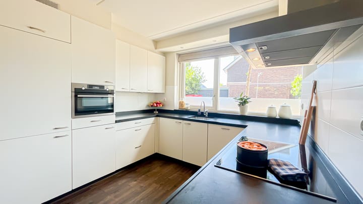 Foto 9 van Snaveldolfijn 6