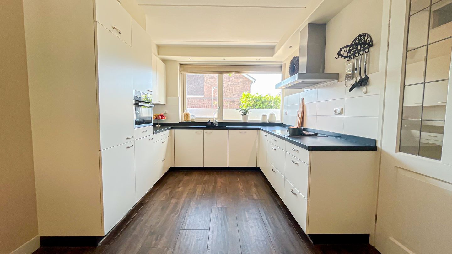 Foto 10 van Snaveldolfijn 6