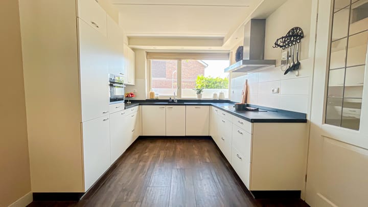 Foto 10 van Snaveldolfijn 6