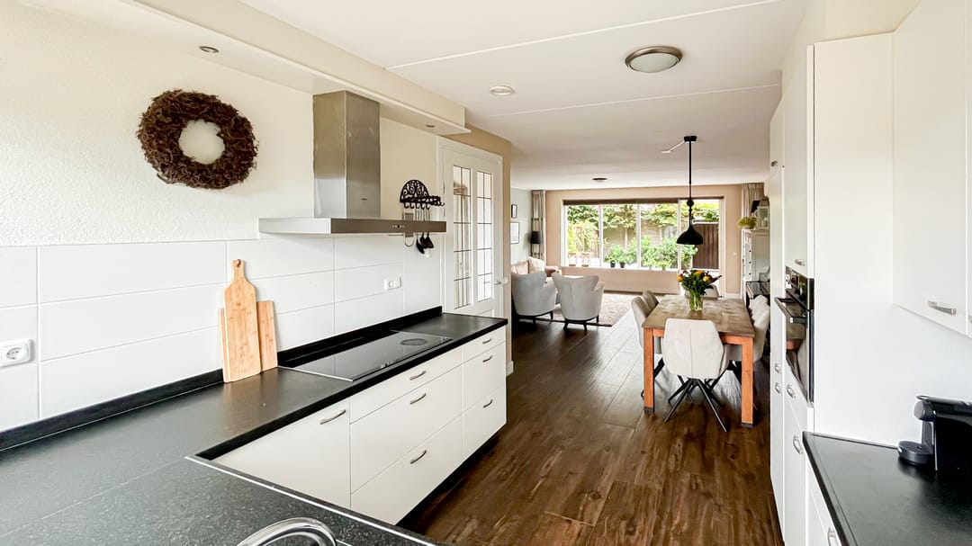 Foto 11 van Snaveldolfijn 6