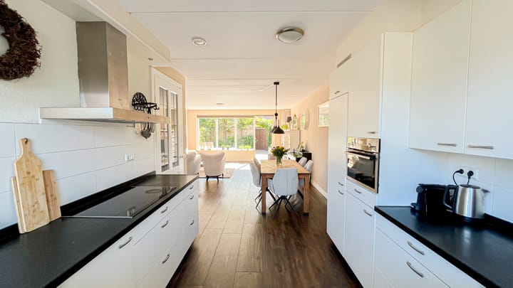 Foto 12 van Snaveldolfijn 6