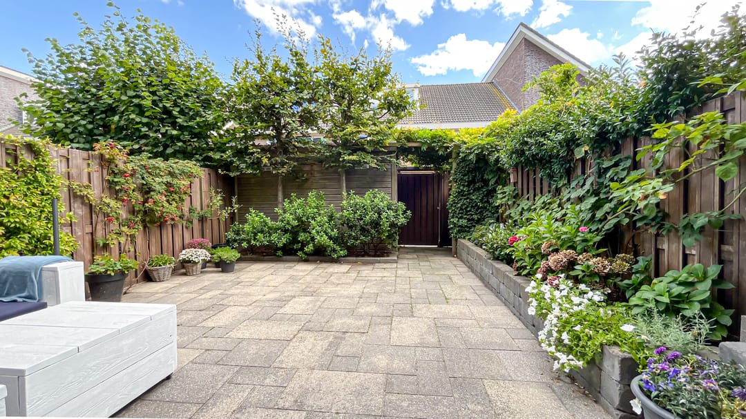 Foto 13 van Snaveldolfijn 6