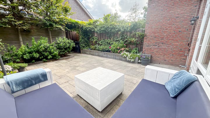 Foto 14 van Snaveldolfijn 6