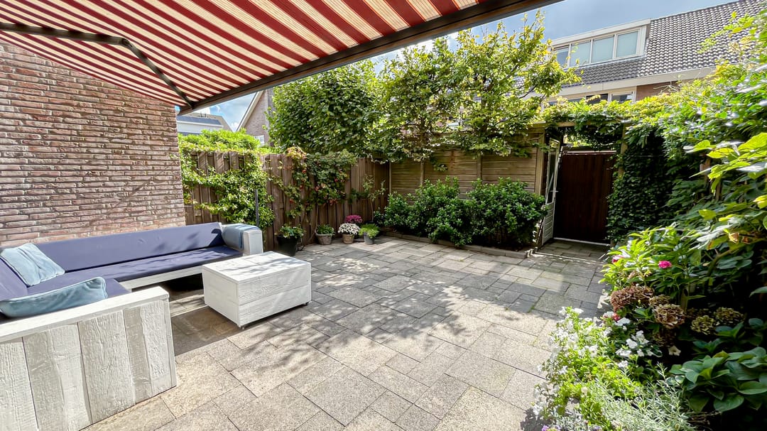 Foto 16 van Snaveldolfijn 6